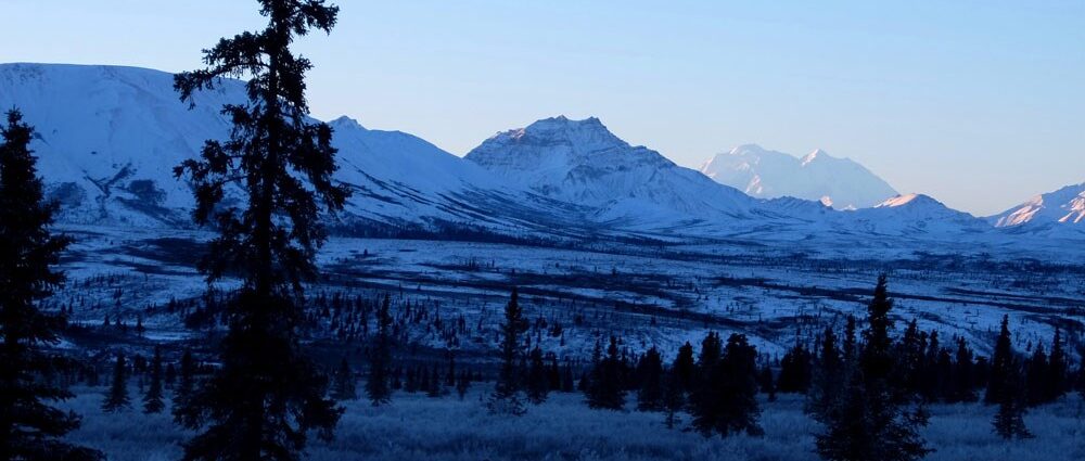 Lonely tree standing against a mountainous backdrop in a snowy landscape at dawn.