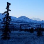 Lonely tree standing against a mountainous backdrop in a snowy landscape at dawn.